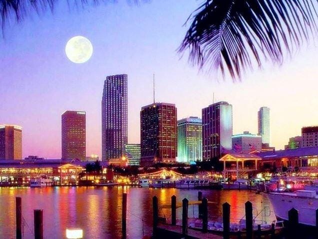 Miami Florida paint by numbers