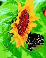 Butterfly On Sunflower Paint By Numbers