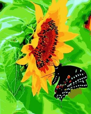 Butterfly On Sunflower Paint By Numbers