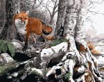 Fox In Forest Paint By Numbers