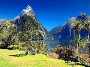 Milford Sound Paint By Numbers