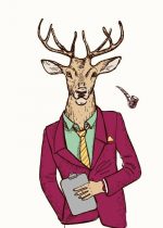 The Mr Deer Paint By Numbers