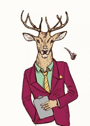 The Mr Deer Paint By Numbers