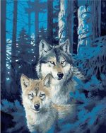 Two Wild Wolves Paint By Numbers
