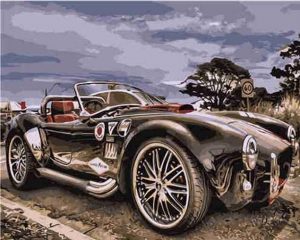 Classic Car Paint By Numbers
