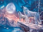Northern Light Wolves paint by numbers