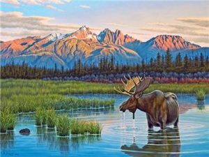 Solitude Elk Animals Paint By Numbers