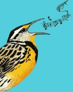 Nightingale Bird Paint By Numbers