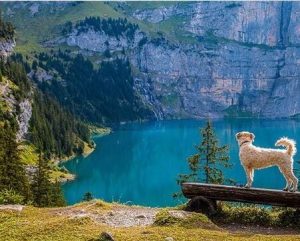 Oeschinen Lake paint by numbers