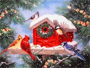 Christmas Birds House Paint By Numbers