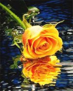 Yellow Rose On Water Paint By Numbers