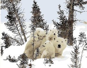 Polar Bear Family Paint By Numbers