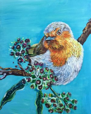 European Robin Bird Paint By Numbers