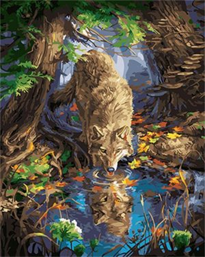 Wolf Drinking Paint By Numbers