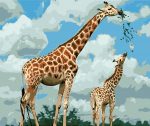 Giraffe Mother And Calf Paint By Numbers