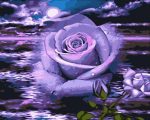 Purple Rose Under The Moon Paint By Numbers