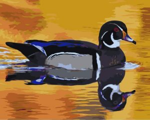 Duck Water Reflection Paint By Numbers