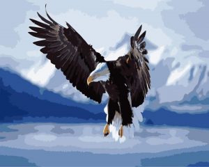 Eagle Bird Paint By Numbers