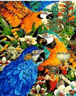 Parrots Birds Paint By Numbers