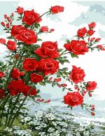 Red Roses Paint By Numbers
