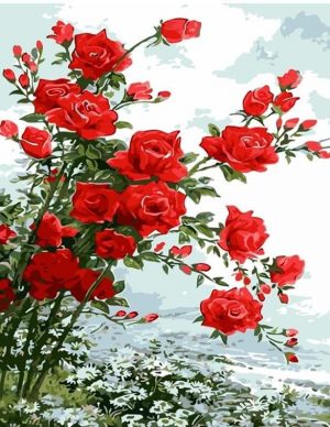Red Roses Paint By Numbers