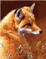 Wild Fox Paint By Numbers