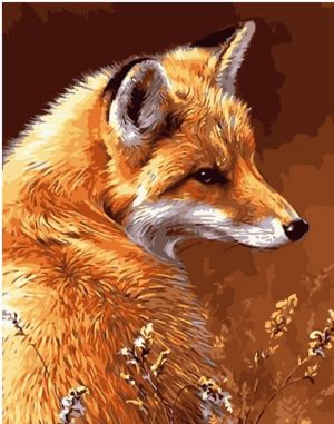 Wild Fox Paint By Numbers