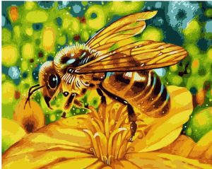 Bee On Flower paint by numbers