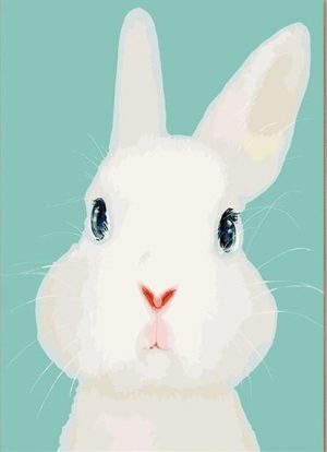 White Rabbit  Animals Paint By Numbers