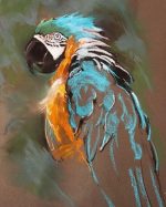 Parrot Bird Art Paint By Numbers