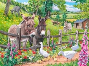 Donkeys And  Goose Paint By Numbers