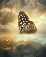 Butterfly Water Reflection Paint By Numbers