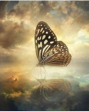 Butterfly Water Reflection Paint By Numbers