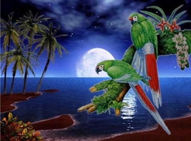 Parrots On Beach Palm paint by numbers