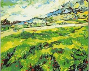 The Green Wheatfield Behind The Asylum Paint By Numbers