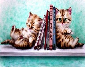 Kittens And Books Paint By Numbers