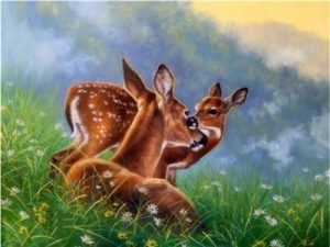 Doe And Fawn Paint By Numbers