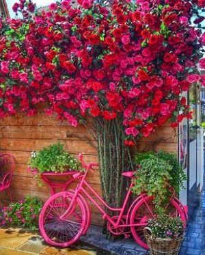 Red Flowers And Pink Bike Paint By Numbers