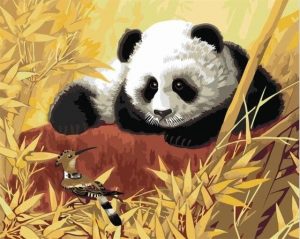 Panda Talking With Bird Paint By Numbers