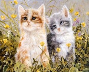 Two Kitties Paint By Numbers