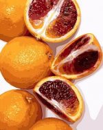 Blood Orange Paint By Numbers