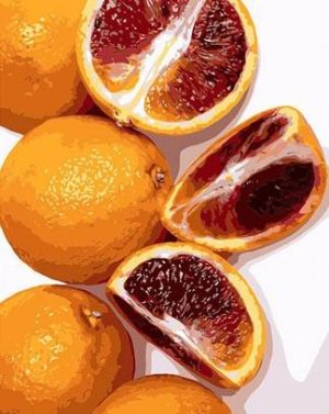 Blood Orange Paint By Numbers
