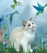 Cat And Hummingbirds Paint By Numbers