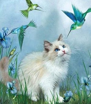 Cat And Hummingbirds Paint By Numbers