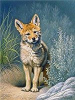 Swift Fox Paint By Numbers