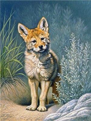 Swift Fox Paint By Numbers