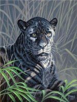 Black And White Jaguar Paint By Numbers