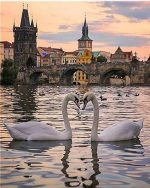 Charles Bridge Swans Paint By Numbers