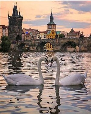 Charles Bridge Swans Paint By Numbers
