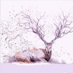 Resting Deer Animals Paint By Numbers